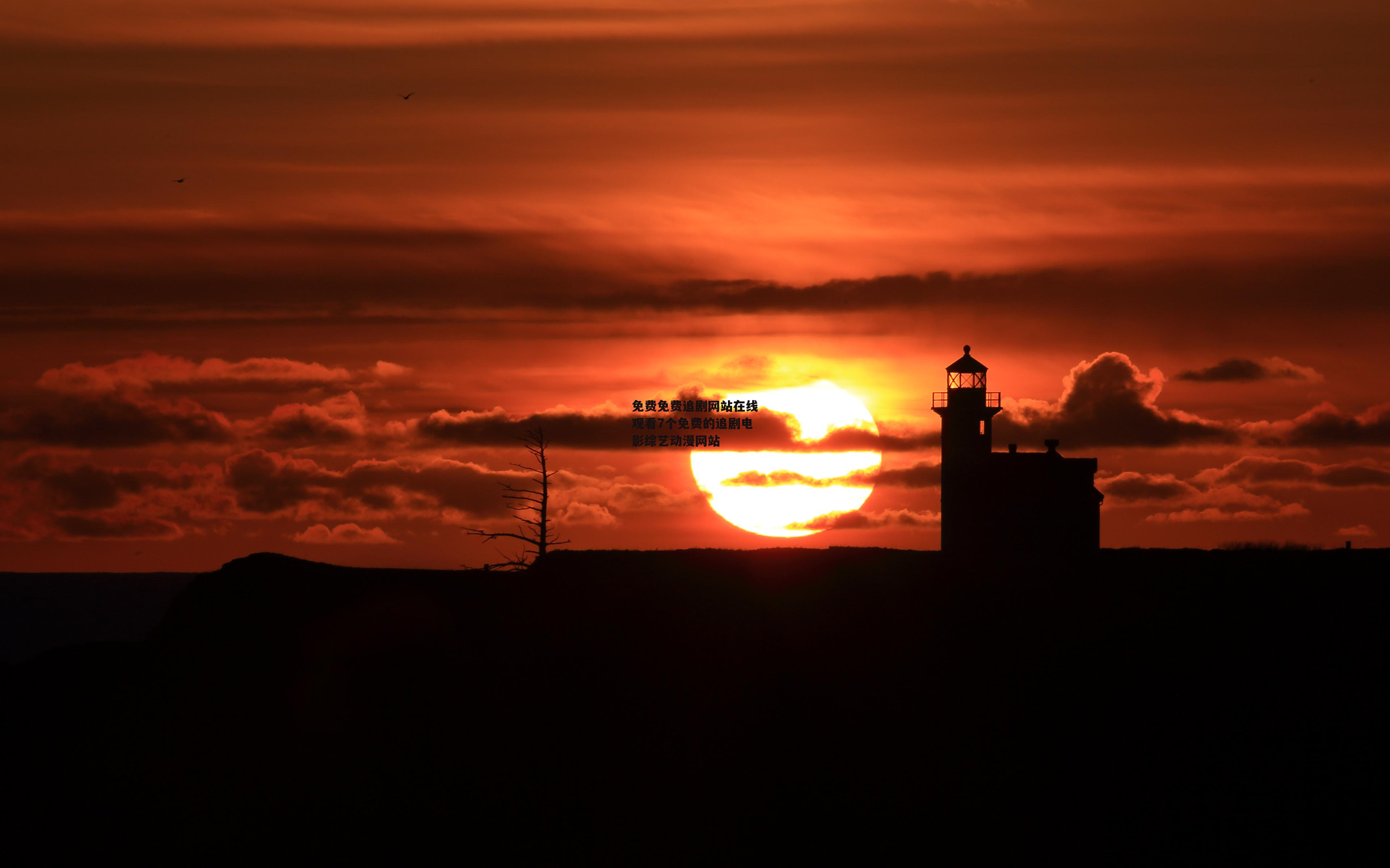 免费免费追剧网站在线观看7个免费的追剧电影综艺动漫网站