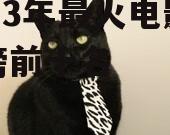 2023年最火电影排行榜前十名